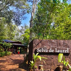 Selva De Laurel Hotel Puerto Iguazu Exterior photo