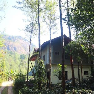 Staymaker Black Hill Homestay Chikmagalur Exterior photo