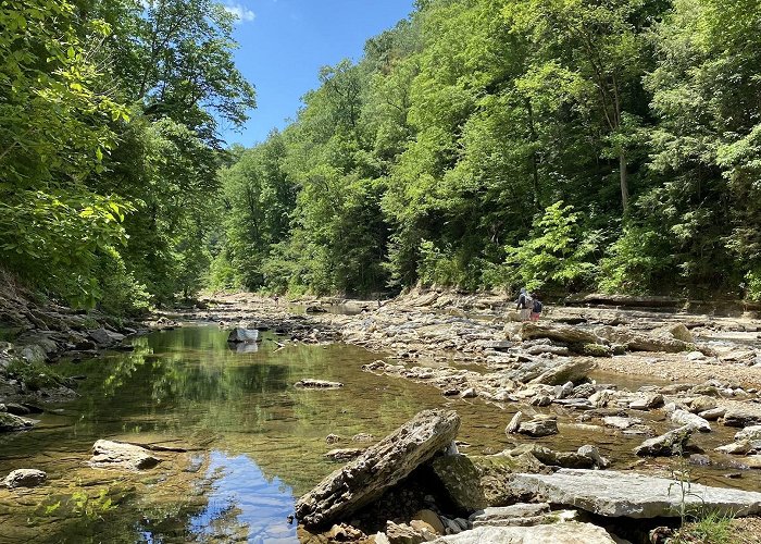 Cummins Falls State Park photo