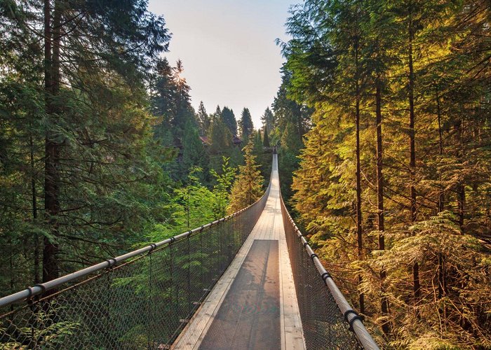 Capilano Suspension Bridge photo