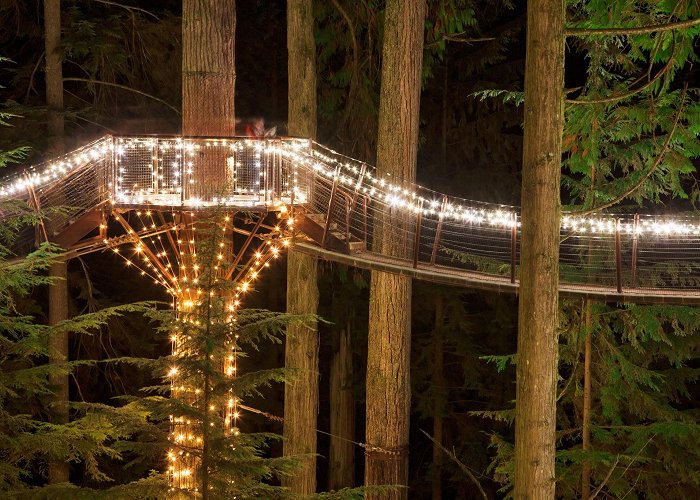 Capilano Suspension Bridge photo