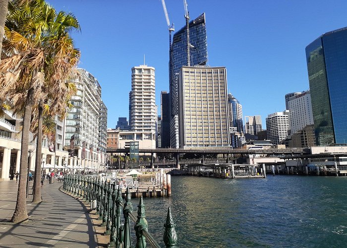 Harbour Bridge photo