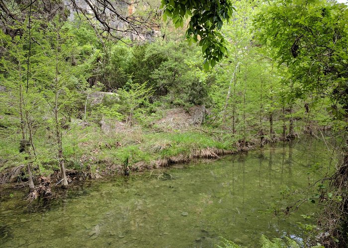 Hamilton Pool Preserve photo