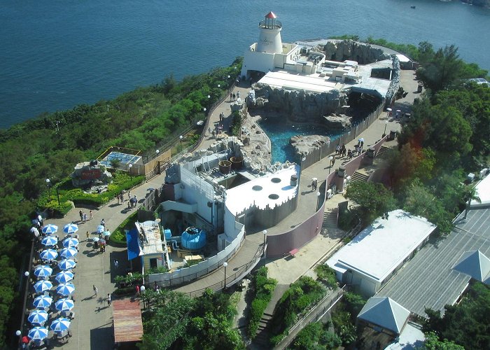 Ocean Park photo