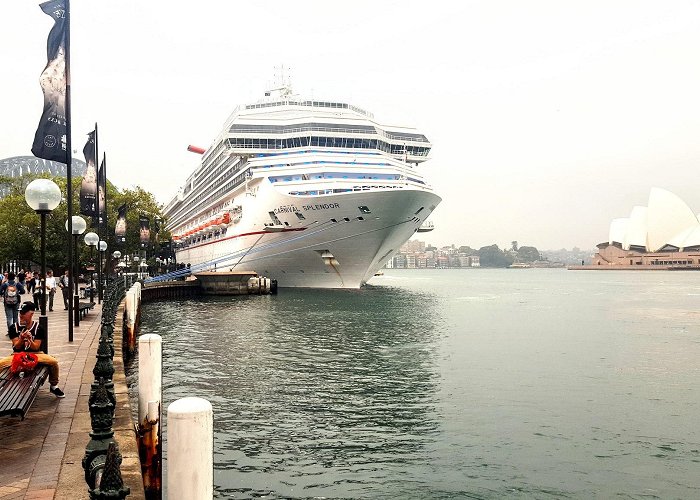 Overseas Passenger Terminal photo