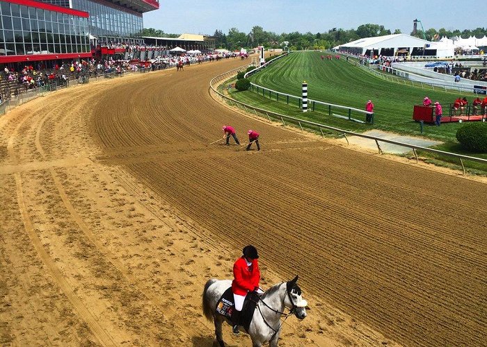 Pimlico Race Course photo