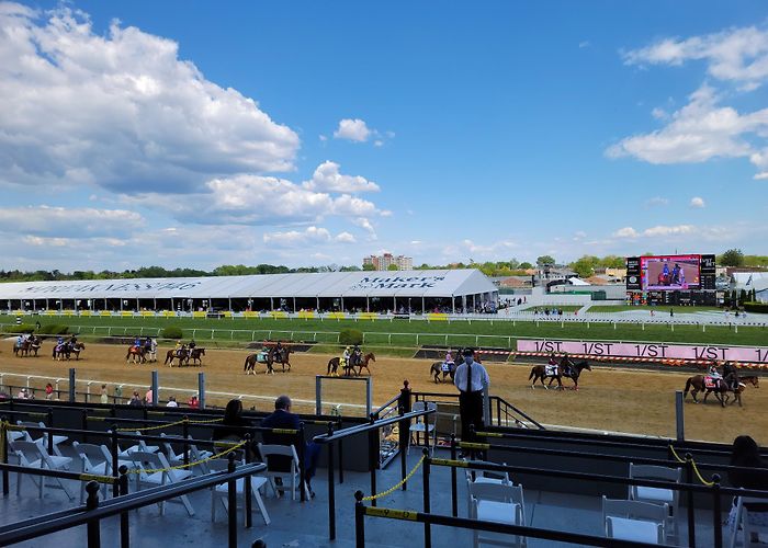 Pimlico Race Course photo