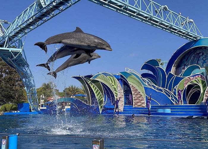 SeaWorld San Diego photo