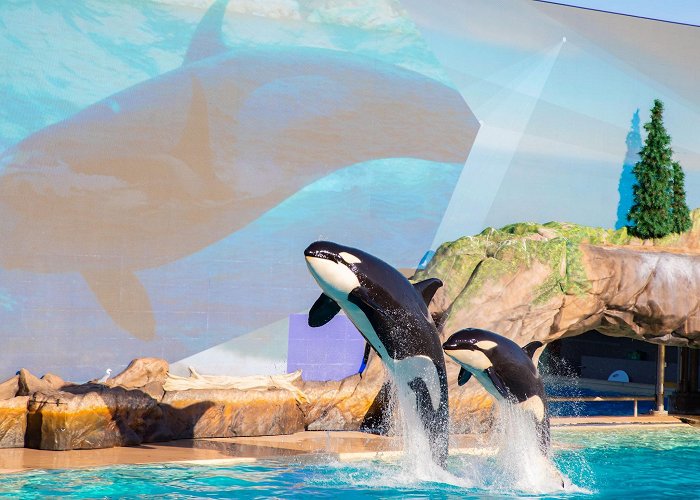 SeaWorld San Diego photo