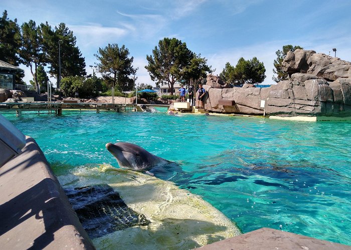 SeaWorld San Diego photo