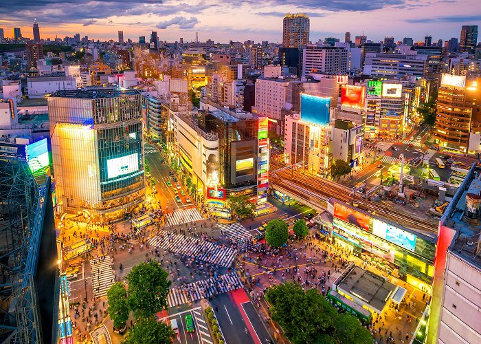 Shibuya Crossing photo