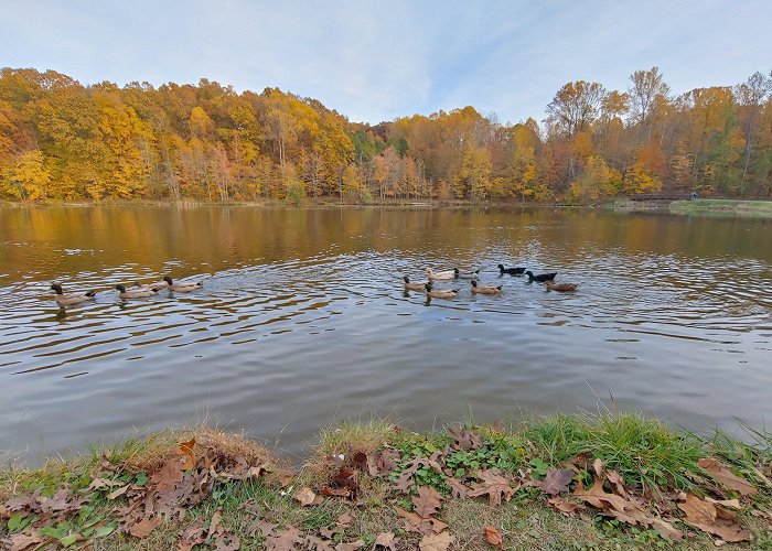 Waverly Park photo