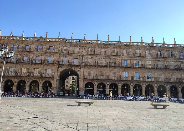 Plaza Mayor Salamanca photo