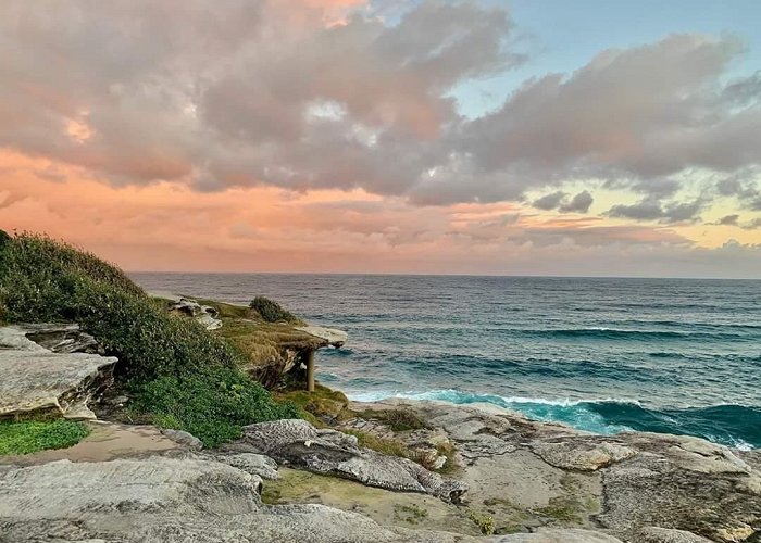 Bondi Beach photo