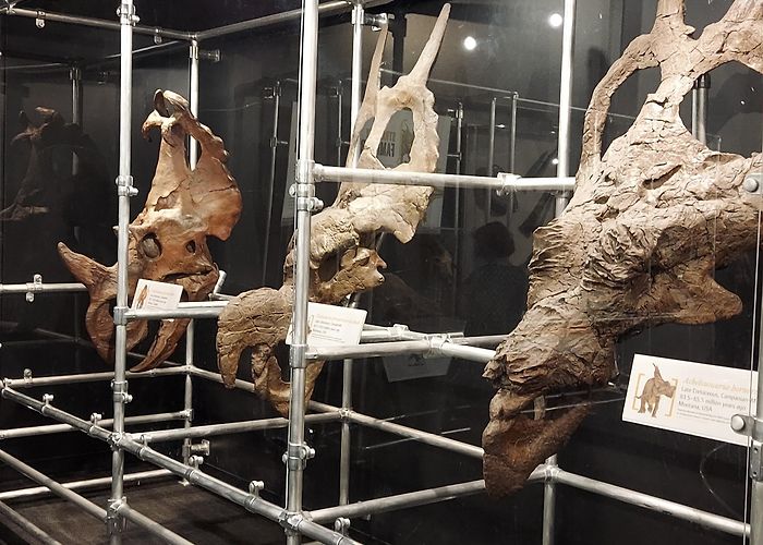 Center of Science and Industry (COSI) photo