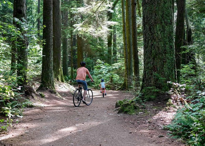 Pacific Spirit Regional Park Biking Through Pacific Spirit Regional Park – Backwoods Mama photo