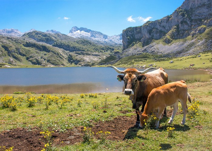 Soplao Cave El Soplao | San Vicente de la Barquera, Cantabria | Attractions ... photo