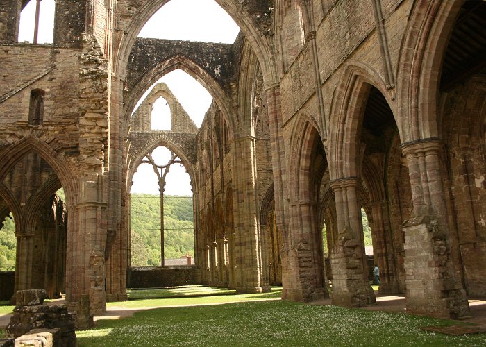 Tintern Abbey Tintern Abbey/Chepstow Wales | Visit Wales (Things to do ... photo