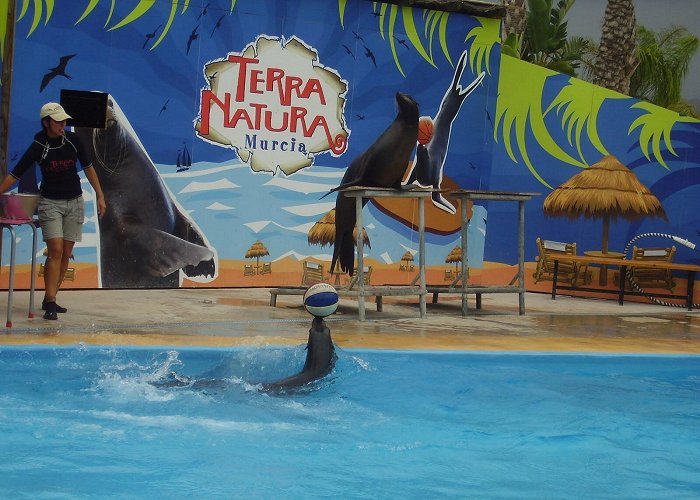 Terra Natura Terra Natura (Murcia) booking agents 2016 | Condado de Alhama ... photo