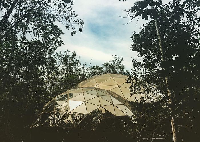 Inhotim Cultural Centre Visit Brumadinho: 2024 Travel Guide for Brumadinho, Minas Gerais ... photo