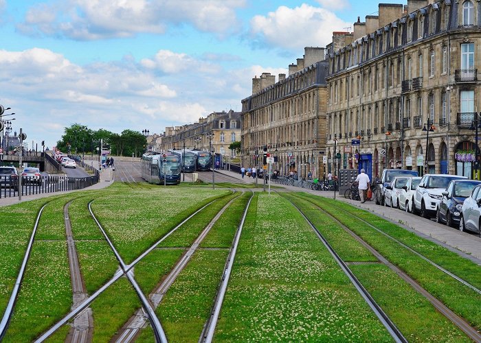 Porte de Bourgogne Tram Stop TBM will replace the grass on the tram with aromatic plants in ... photo