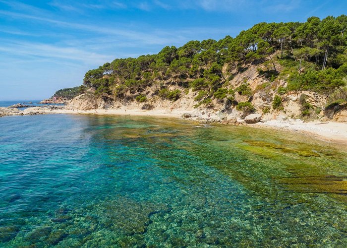 The Caves of Drach Everything you need to know about Cala Bona, Mallorca | Roig photo