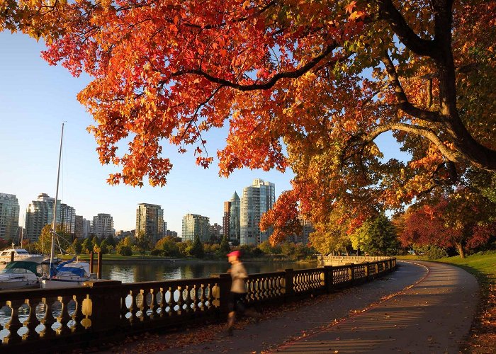 Stanley Park Stanley Park | The Canadian Encyclopedia photo