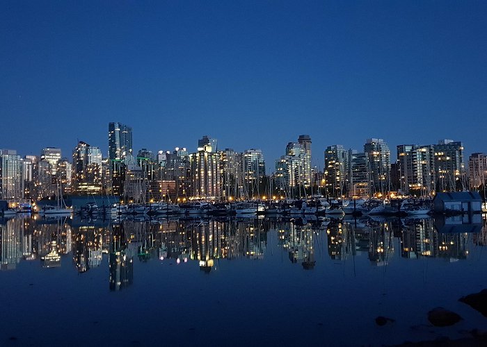 Stanley Park Vancouver skyline from Stanley Park : r/vancouver photo