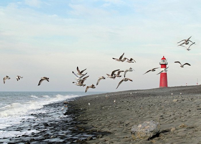 Hoge Vuurtoren van Westkapelle The lighthouses of Zeeland | Zeeland.com photo