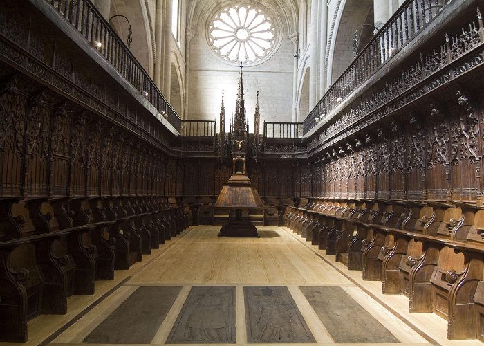 Catedral de Tudela La Catedral de Tudela redescubre sus tesoros tras cuatro años de ... photo