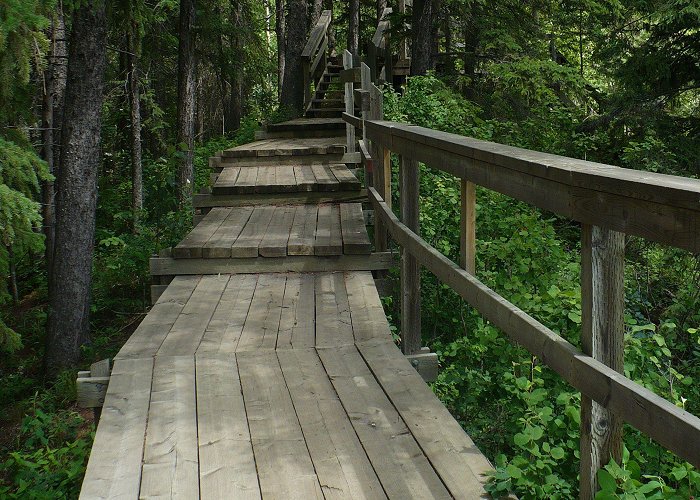 Kerry Wood Nature Centre Kerry Wood Nature Centre | With a heart set on Pilgrimage ... photo