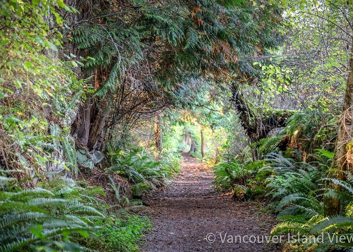 Hemer Park Hemer Provincial Park: A South Nanaimo Gem photo