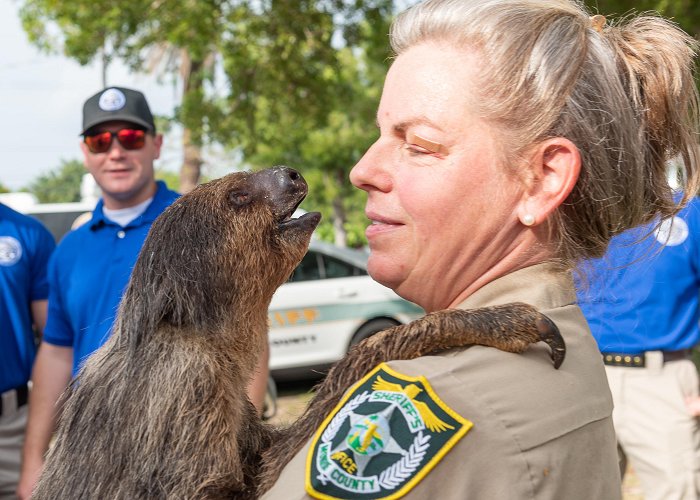 Sheriff s Animal Farm At the Florida Keys jail, animals bring connection, love and ... photo