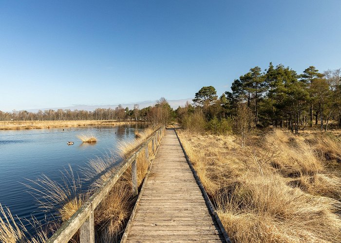 Pietzmoor Search: "moor" | Lüneburger Heide photo