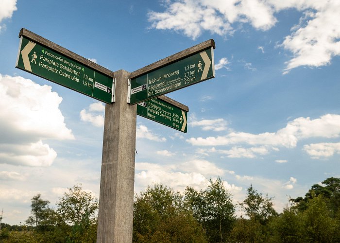 Pietzmoor Schneverdingen: Pietzmoor | Lüneburger Heide photo