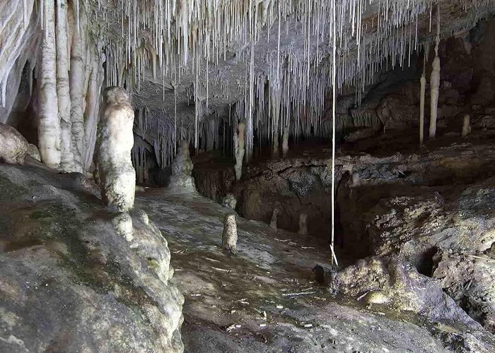 Cuevas de Campanet Coves de Campanet - A paradise in the heart of the Serra de ... photo