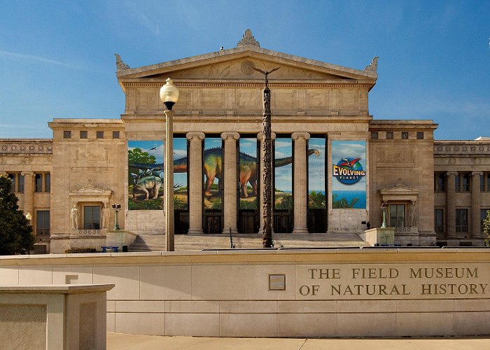 Field Museum of Natural History Field Museum of Natural History — Museum Review | Condé Nast Traveler photo