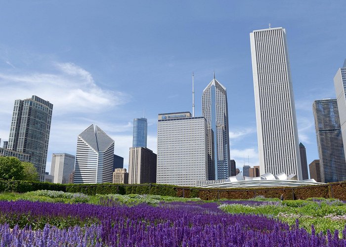 Grant Park Millennium Park | Buildings of Chicago | Chicago Architecture Center photo