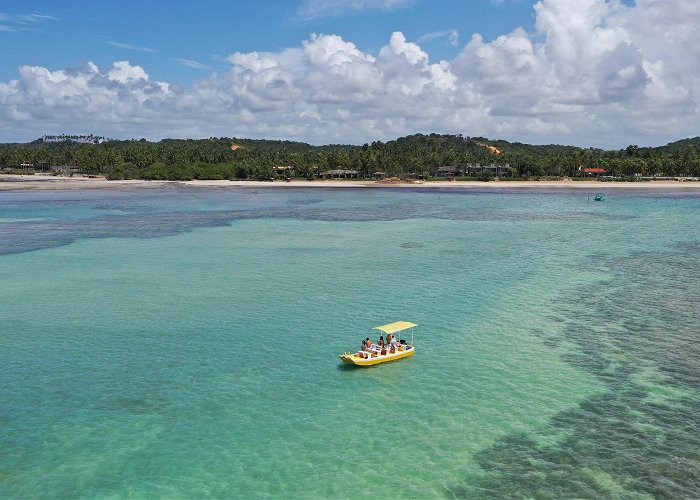 Peroba Beach Sao Miguel dos Milagres Beach Tours - Book Now | Expedia photo