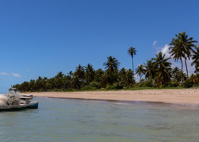 Peroba Beach Visit Porto de Pedras: 2024 Travel Guide for Porto de Pedras ... photo