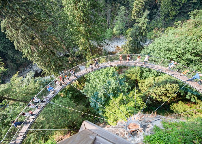 Capilano Suspension Bridge Capilano Suspension Bridge Park | musement photo