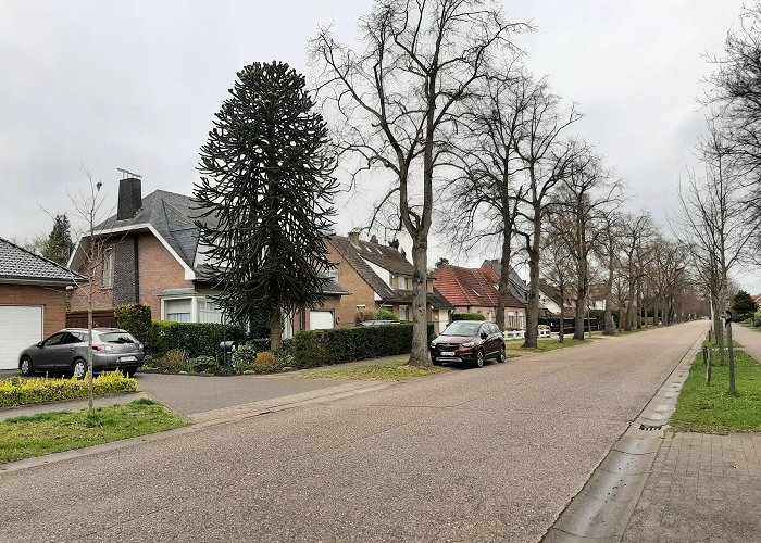 Brasschaat photo