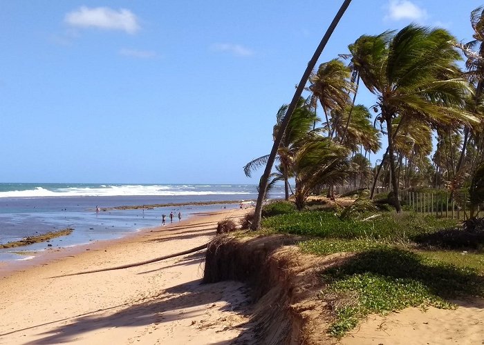 Praia do Forte photo