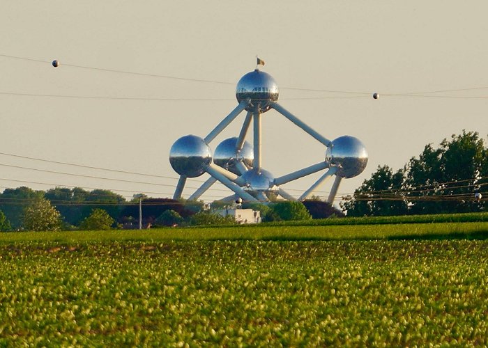 Grimbergen photo