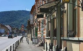 Pension Flamingo Brasov Exterior photo