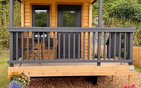 Shepherds Hut At Wern Mill Hotel New Quay  Exterior photo