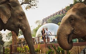 Anantara Golden Triangle Elephant Camp & Resort Chiang Rai Exterior photo