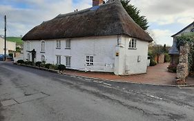 The White Cottage Colyton Exterior photo