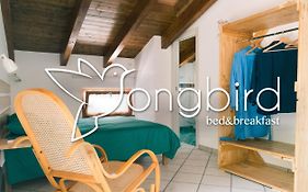 Songbird Bed & Breakfast Agerola Exterior photo