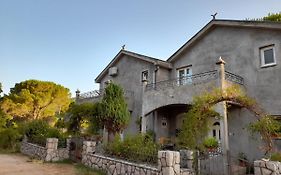Kuca - Vikendica Villa Kotor Exterior photo